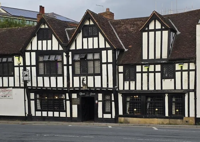 Black Swan York