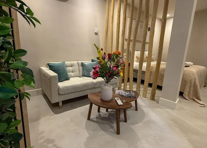 B&B De Amsterdamse Poort Haarlem