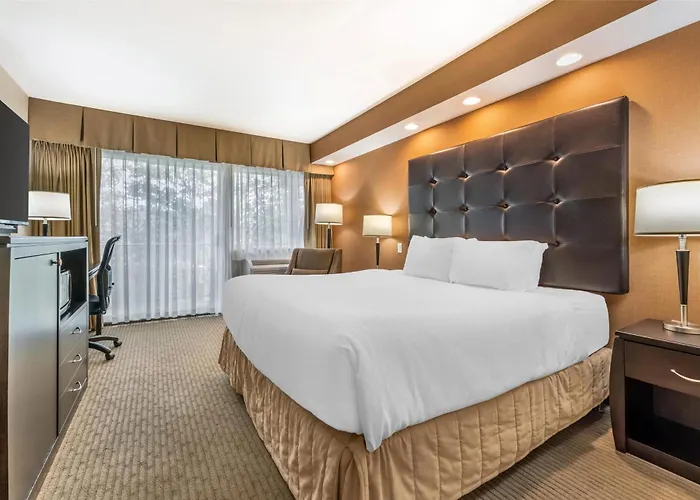 Best Western The Westerly Hotel Courtenay