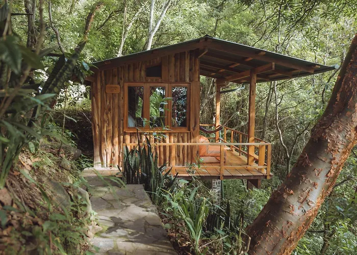 Kawoq Forest San Marcos La Laguna