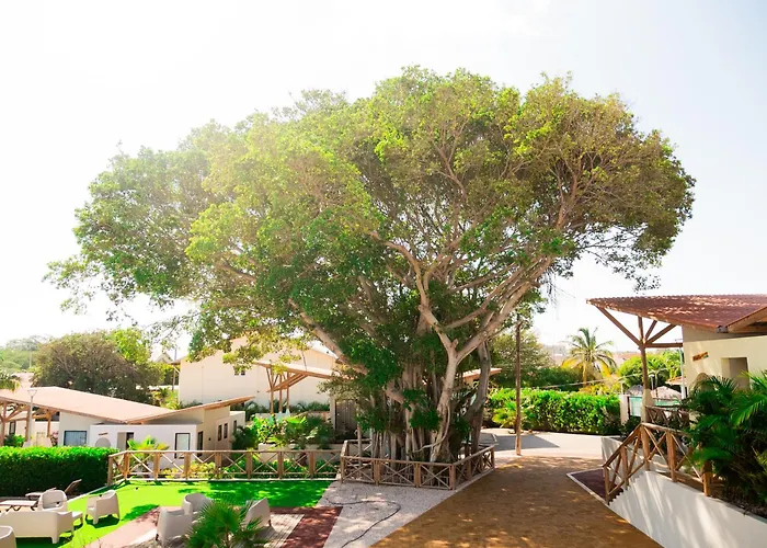 Malvales Resort Willemstad