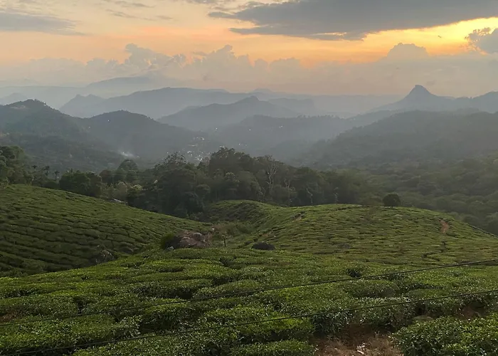 Royal Mist Villa- Homestay Munnar