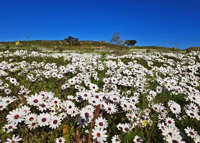 Crystal Lagoon Lodge Langebaan
