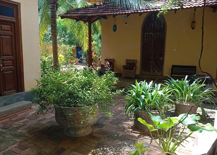 Luna Laguna Kalpitiya