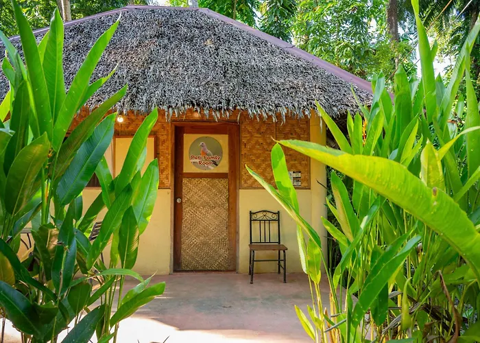 Water To Forest Ecolodge Loboc