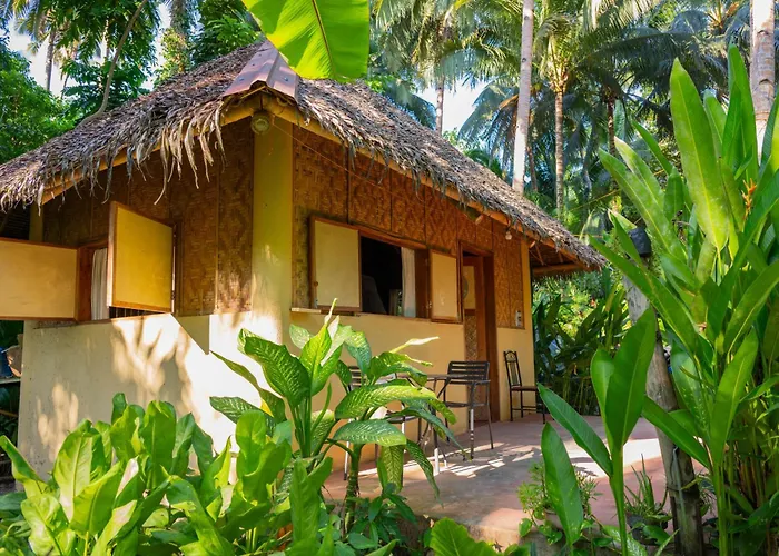 Water To Forest Ecolodge Loboc