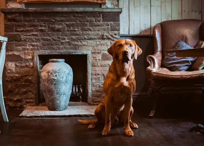 Bulls Head - Holymoorside Hotel Chesterfield