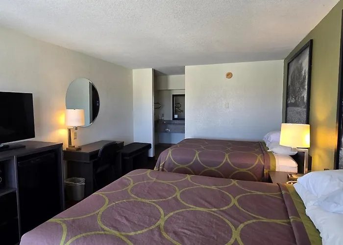 Super 8 By Wyndham Seguin Hotel