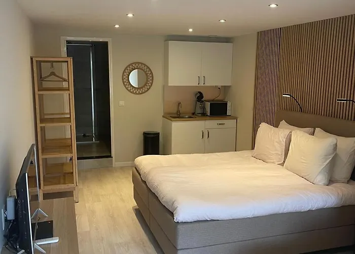 Studio Alexander With Private Indoor Parking Zandvoort