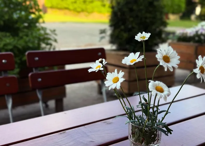 Boga's im Schützenhof Hüttenbusch Worpswede
