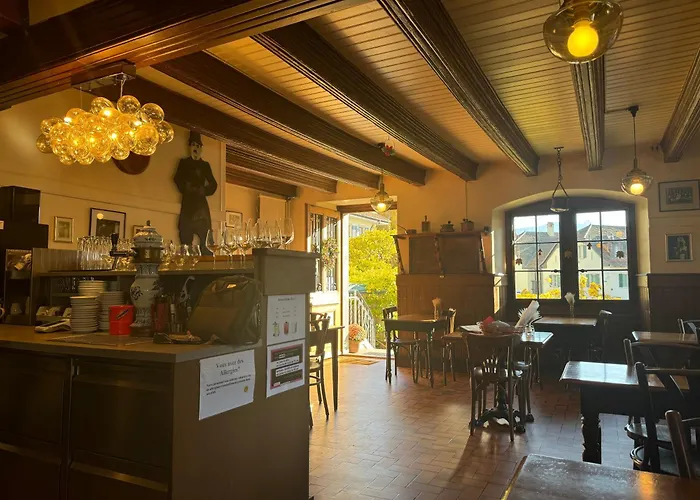 Hotel De La Place Vevey