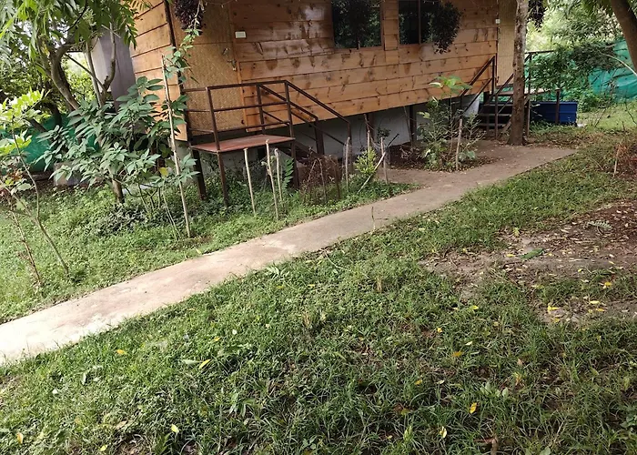 Green Hills Farm And Guest House Masinagudi