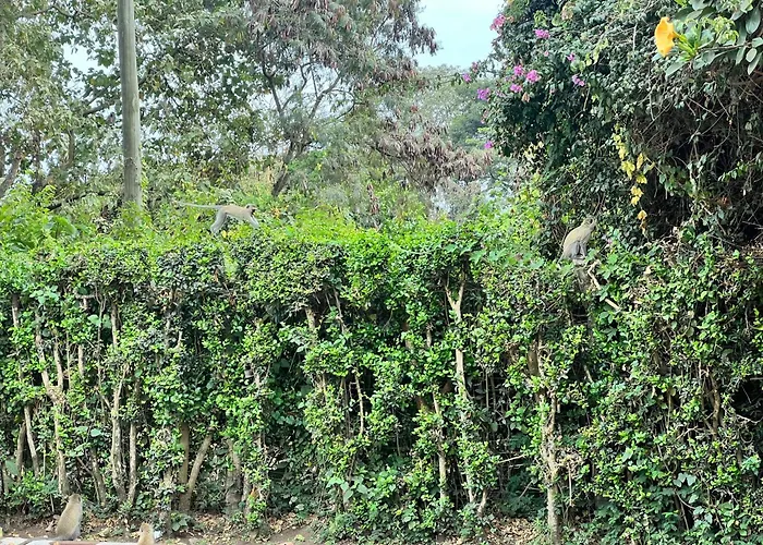 Karibu Heritage House Arusha