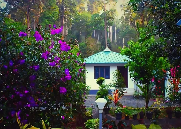 Mist Nest Munnar Hotel