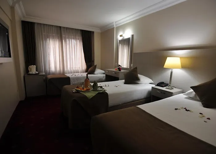 Hotel Buyuk Sahinler Isztambul