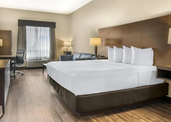Best Western Plus Saint John Hotel & Suites
