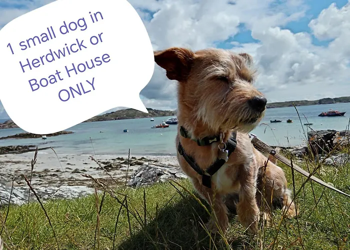 Puddle Duck Lodge - Adults Only Bowness-on-Windermere