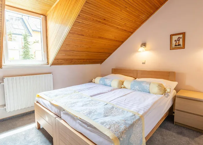 Hotel Wilhelm Prag