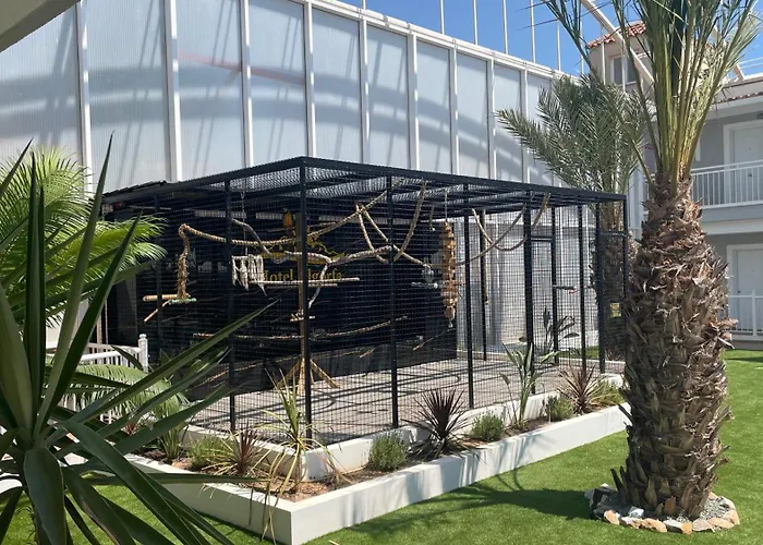 Hotel Algorfa