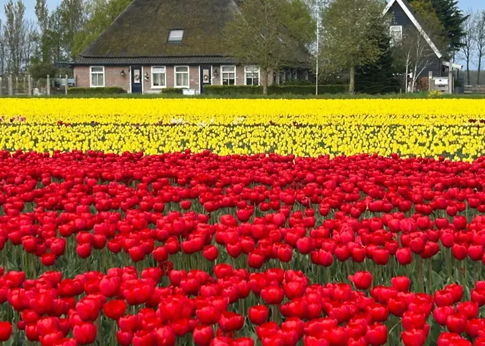 B&B Idylle aan Zee incl 2 Wellnessstudios Sint Maartensvlotbrug