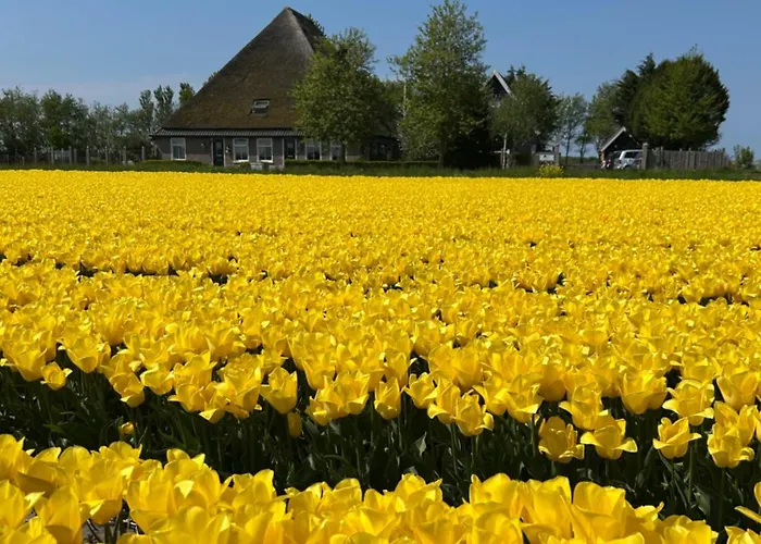 B&B Idylle aan Zee incl 2 Wellnessstudios Sint Maartensvlotbrug