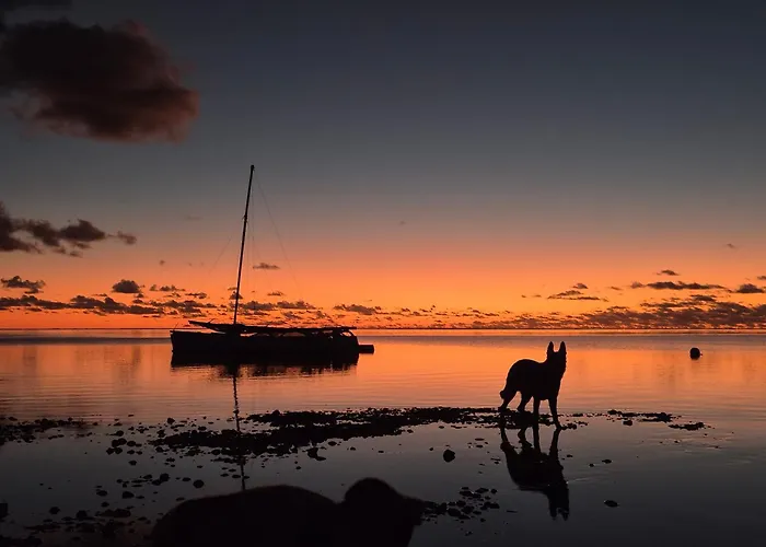 Fare Tokoau Moorea