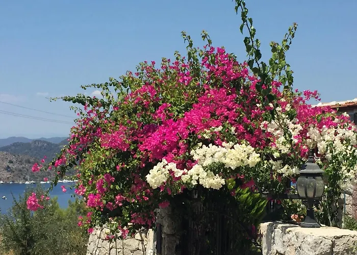 Harmanyeri Tatilevi Bed & Breakfast Selimiye 