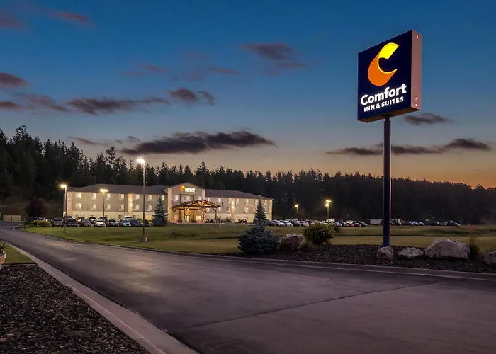 Comfort Inn & Suites Custer