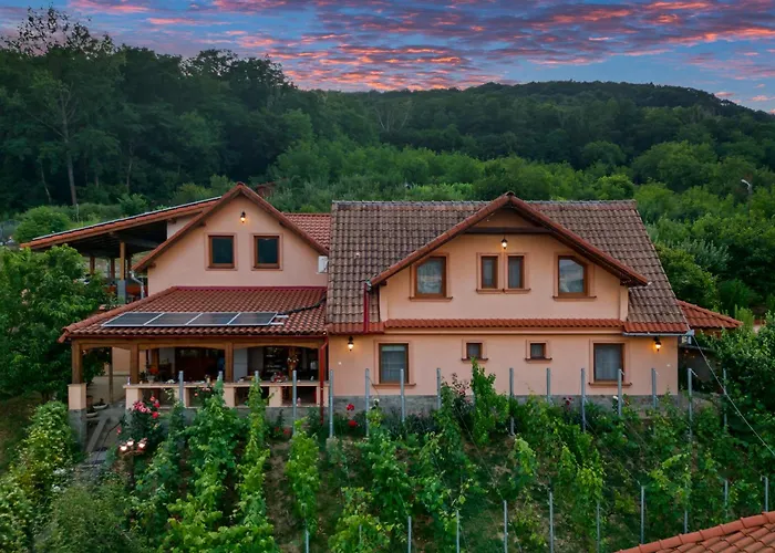 Hotel Casa Adam Sighişoara