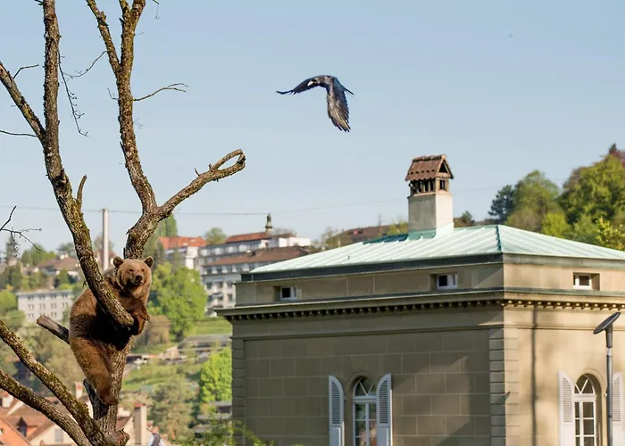 One Suite Hotel - Zollhaus Bern