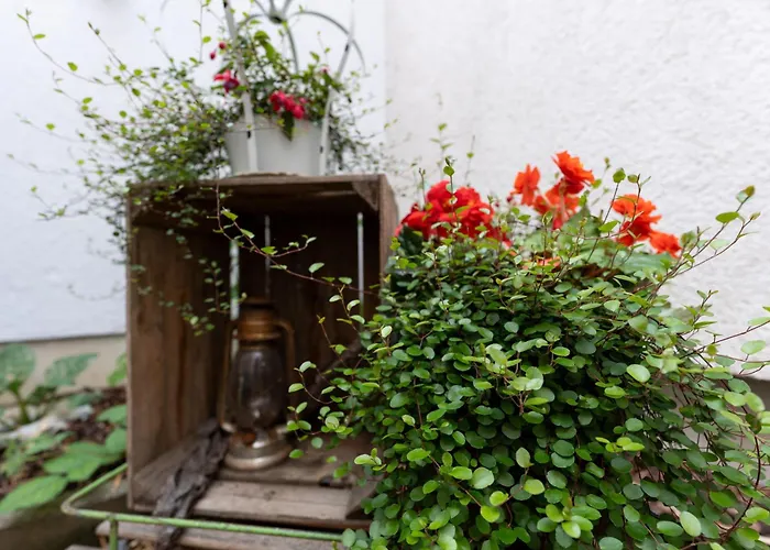 Pension Krone Freiberg