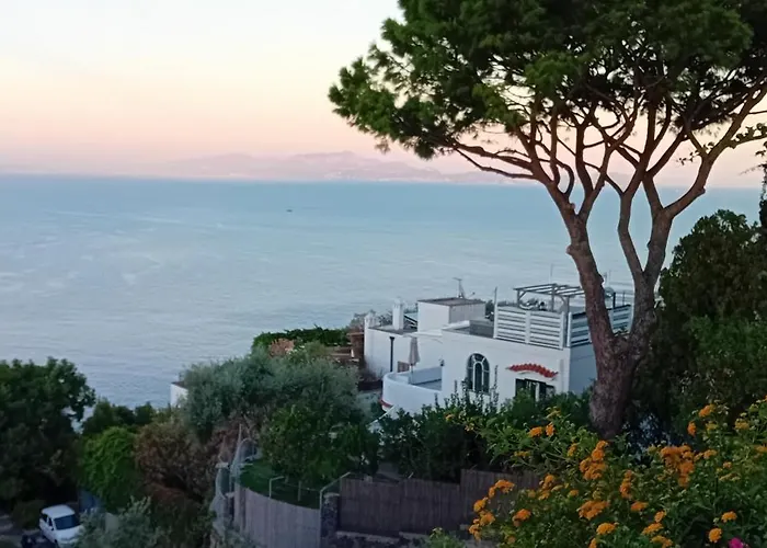 La Pergola Del Torchio Bed & Breakfast Ischia