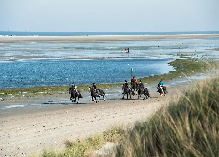 Breeze Ameland Hotel Hollum 