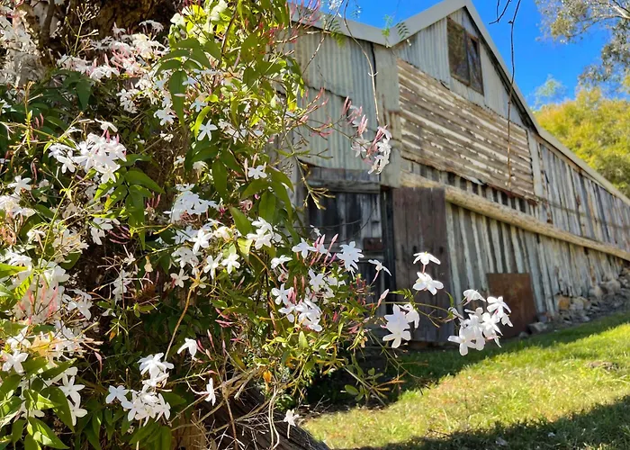 Capers Cottage And Barn Accommodation Wollombi