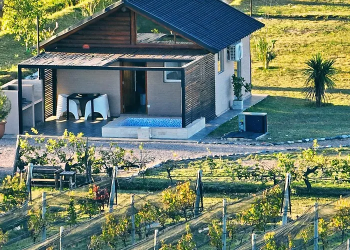 Martyniuk lodges entre viñedos San Rafael 