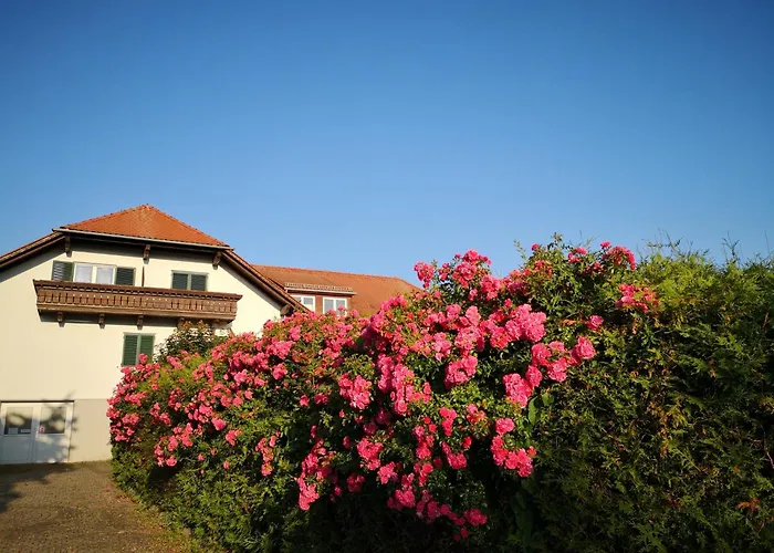 Goldener Hahn Apartments Bad Waltersdorf