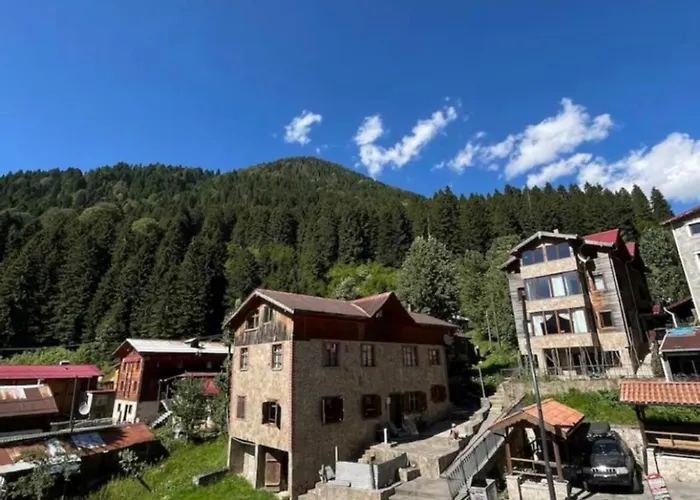 Bahar Apart Ayder Yaylası