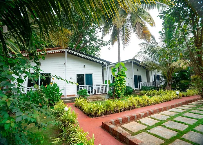 White Truffle Resort, Arambol