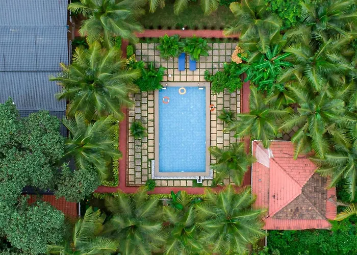 White Truffle Resort, Arambol