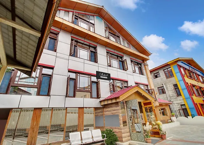 Collection O Rajbagh Hotel Srinagar 