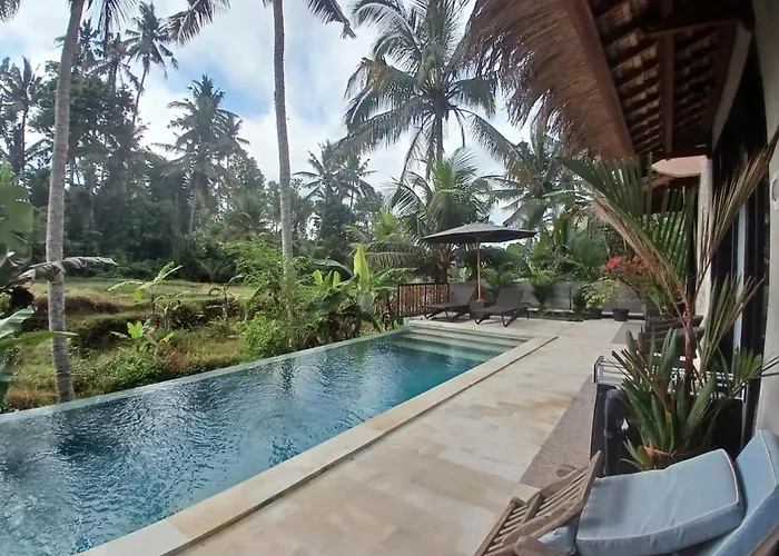 Bali View Ubud Hotel