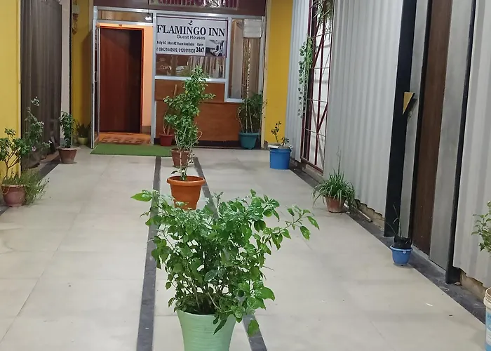 Flamingo Inn Gorakhpur