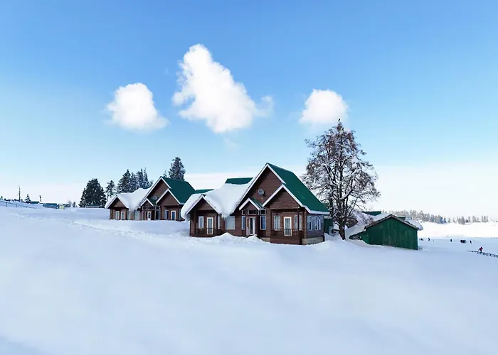 Gulmarg Woods By Stay Pattern