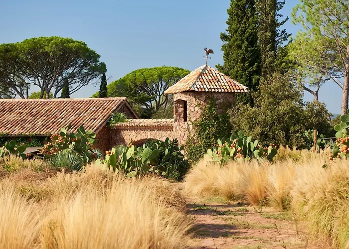 Chateau Saint Roux Le Luc-Le Cannet Des Maures