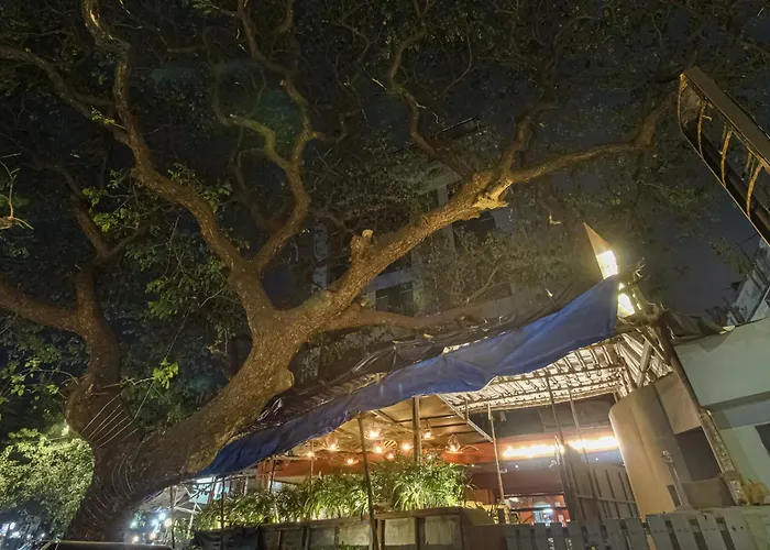 Townhouse Oak Hotel Shubhangan Near Juhu Beach Mumbai