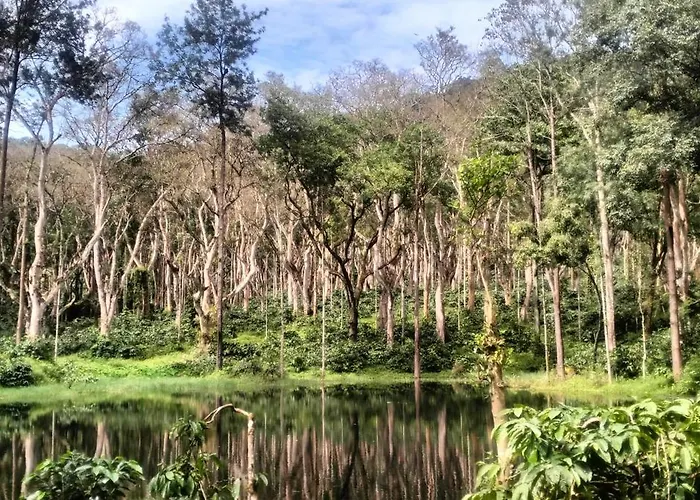 Coorg Namana Homestay Suntikoppa