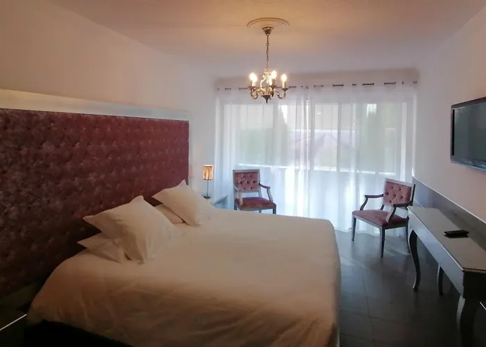 Hôtel Les Deux Lions Riez