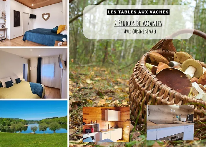 Appartement indépendant avec services de maison d'hôtes, linge et ménage inclus - Accès parc et plage privés - Table d'hôtes some days only La Salvetat-sur-Agout