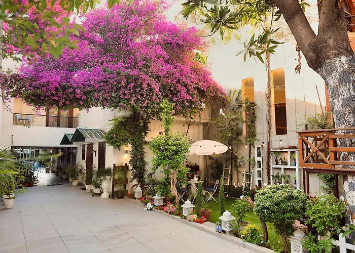The Bougainvillea Bed & Breakfast Amritsar