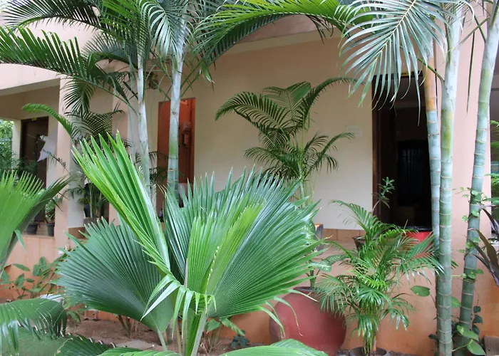 Pv Resort - Auro Beach Auroville